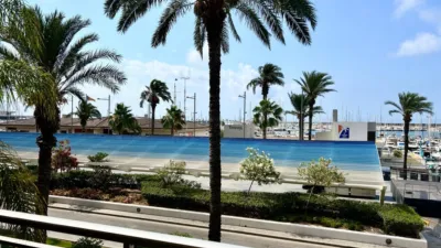 Pis – Torrevieja - Vista 2