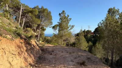 Terreno en venta en Galera de Las Palmeras - Más
