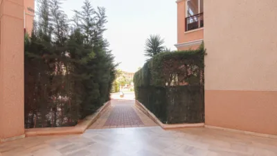 Apartment on Calle J-1 P Flamenca Norte photo 26