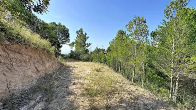 Terreno en venta en Galera de Las Palmeras - Vista 4