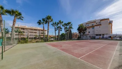 Apartment on Calle J-1 P Flamenca Norte photo 38