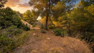 Terreno en venta en Carrer de Ferreret-Buenavista - Vista 4
