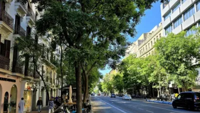 Apartment in Goya photo 3