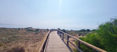Apartment in Arenales del Sol photo 11