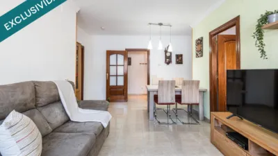 Apartment in Santa Maria-Eixample-Sud Sumella photo 4