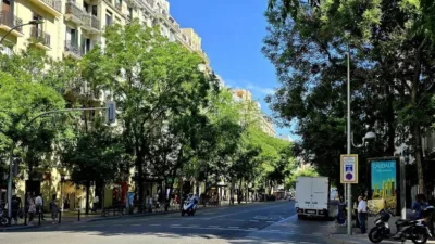 Apartment in Goya photo 2