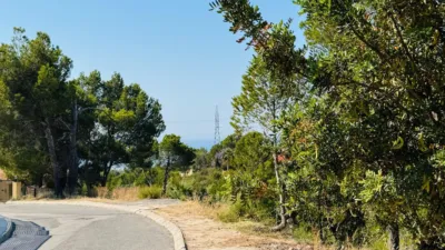 Terreno en venta en Galera de Las Palmeras - Vista 3