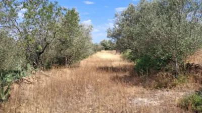 Rustic finca on Residencial Street photo 31