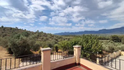 Rustic finca on Residencial Street photo 39