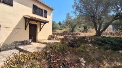 Rustic finca on Residencial Street photo 49