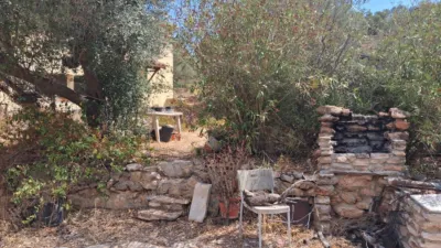 Rustic finca on Residencial Street photo 52