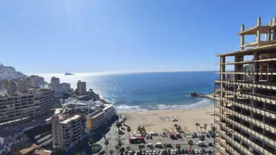 Apartment on Tramuntana Street photo 3