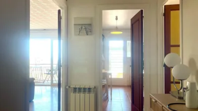 Apartment in Carrer del Puig Rom photo 16