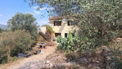 Rustic finca on Residencial Street photo 33