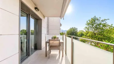 Apartment in La Plana photo 19