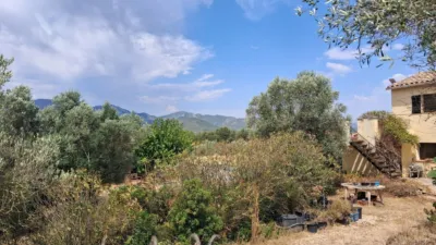 Rustic finca on Residencial Street photo 34