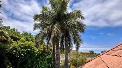 Chalet on Calle Codeso photo 70