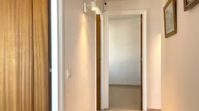 Apartment in Carrer del Puig Rom photo 21