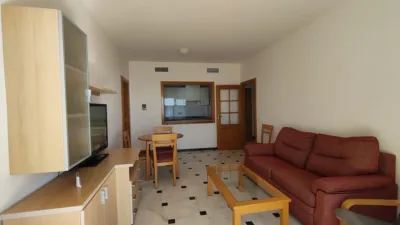 Apartment on Tramuntana Street photo 13