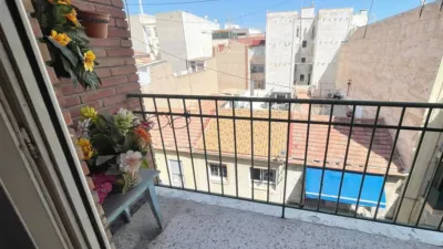 Pis – Elx - Elche - Vista 5