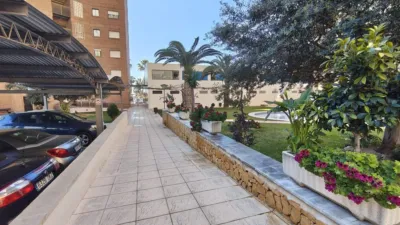 Apartment on Tramuntana Street photo 37