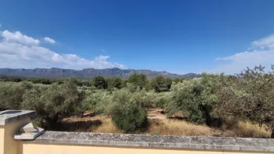 Rustic finca on Residencial Street photo 93