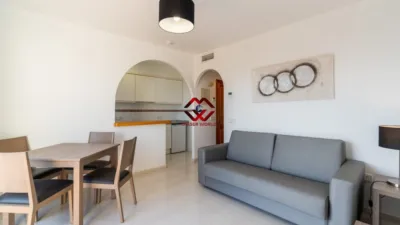 House in Gran Sol photo 10