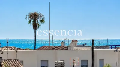 Apartment in Grao de Gandia photo 3
