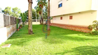 Apartment at Calle Médico Basilio Paredes, 5 photo 25
