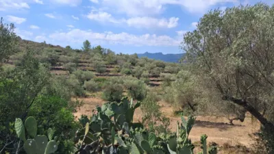 Rustic finca on Residencial Street photo 35