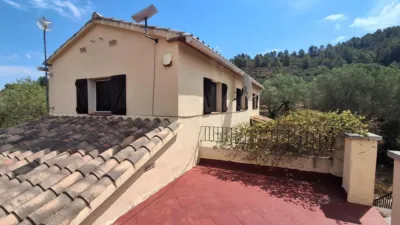 Rustic finca on Residencial Street photo 45
