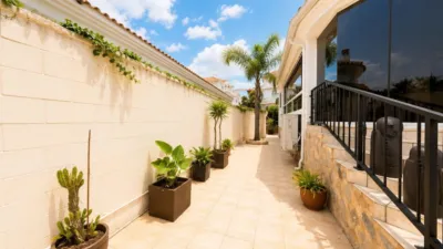 Chalet in La Marina photo 28
