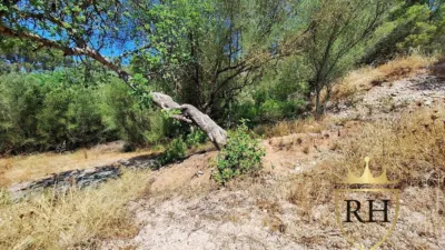 Rustic finca on Calle Poligono 9 Parcela 69 photo 5
