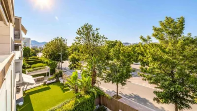 Apartment in La Plana photo 2