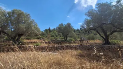 Rustic finca on Residencial Street photo 36