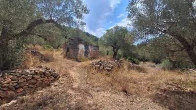Rustic finca on Residencial Street photo 37