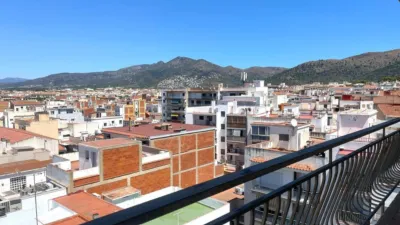 Apartment in Carrer del Puig Rom photo 27