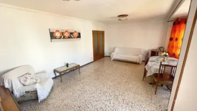 Pis – Elx - Elche - Vista 4