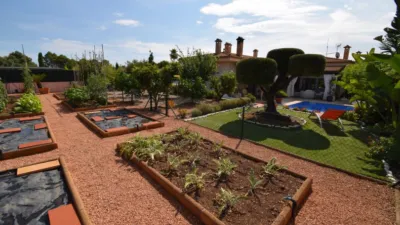 Chalet en Son Serra de Marina photo 46