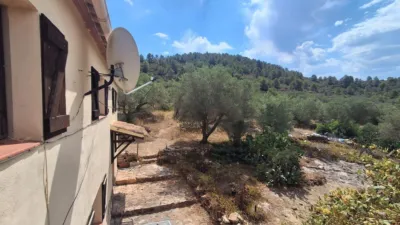 Rustic finca on Residencial Street photo 43
