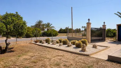 Casa – Elx - Elche - Vista 4
