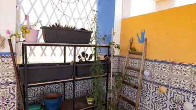 Piso – Torrevieja - Vista 3