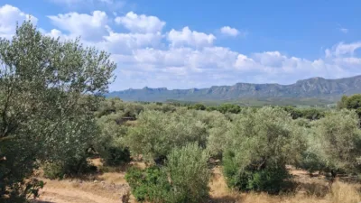 Rustic finca on Residencial Street photo 95