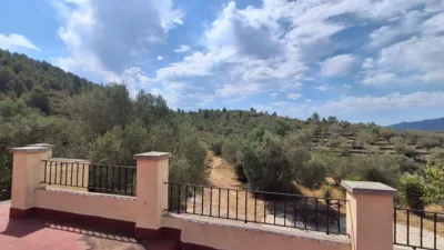 Rustic finca on Residencial Street photo 40