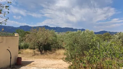 Rustic finca on Residencial Street photo 29