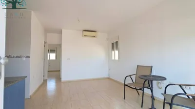 Penthouse in El Alamillo photo 12