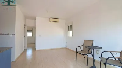 Penthouse in El Alamillo photo 9
