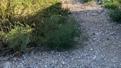Terreno en venta en Partida Altabix - Vista 3