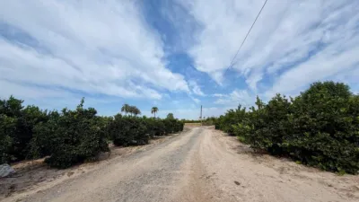 Casa – Elx - Elche - Vista 2