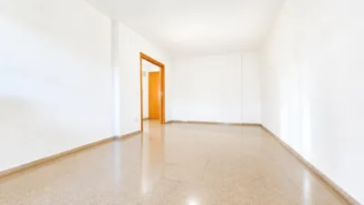 Pis – Elche/Elx, Hort de Ripoll, el Baix Vinalopó - Vista 5
